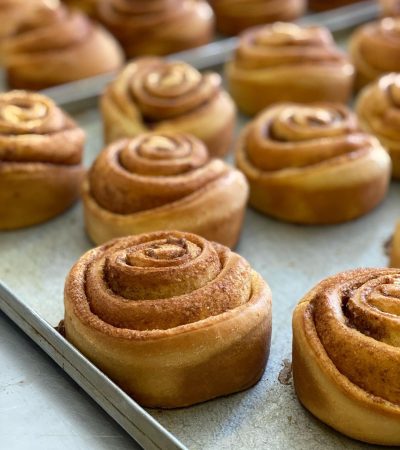 WhatsApp Image 2026-02-12 at 12.12.52 PM